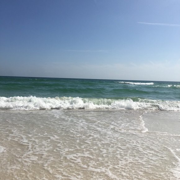 Meet your Posher, Tammy - Picture 1 of 1